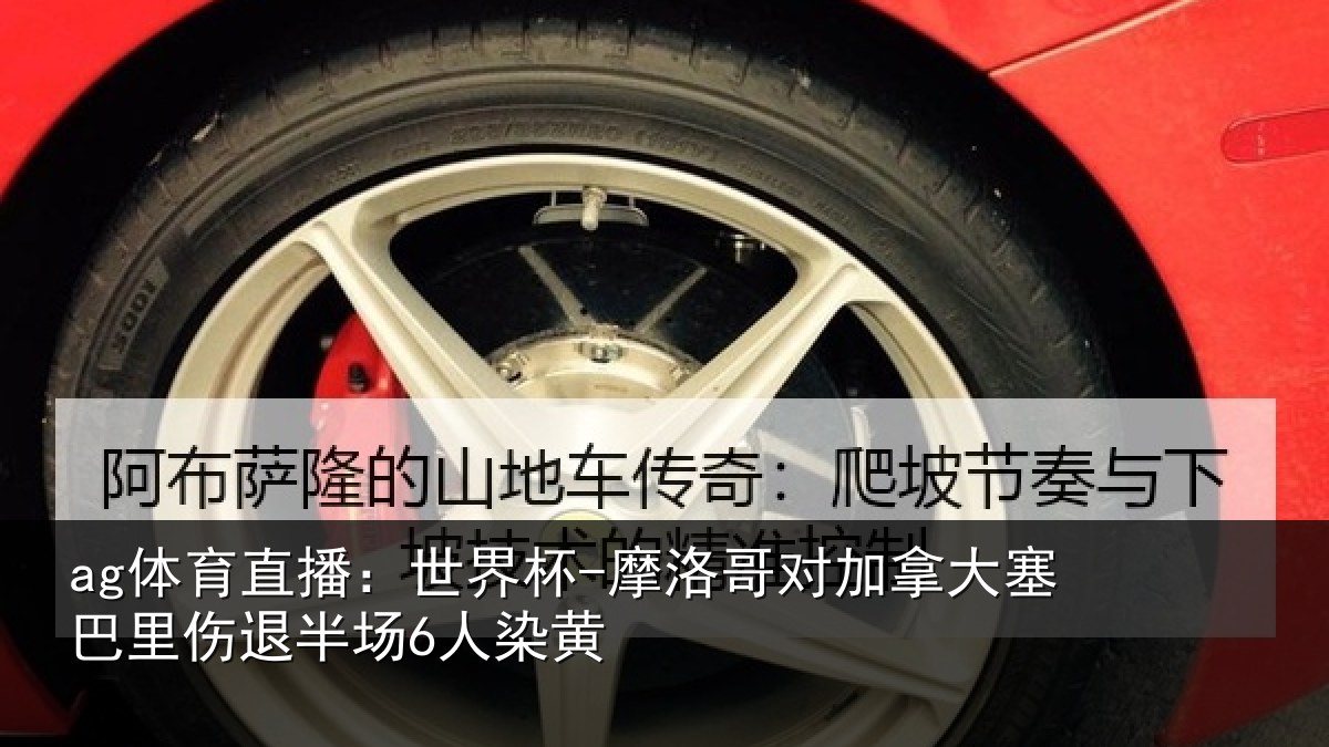 ag体育直播：世界杯-摩洛哥对加拿大塞相关情况黄