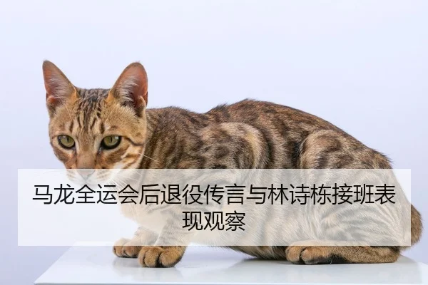 ma-long-quan-yun-hui-hou-tui-yi-chuan-yan-yu-lin-shi-dong-jie-ban-biao-xian-guan-cha-3-602.jpg