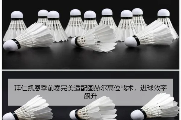 bai-ren-kai-en-ji-qian-sai-wan-mei-shi-pei-tu-he-er-gao-wei-zhan-shu-jin-qiu-xiao-lv-biao-sheng-2-631.jpg