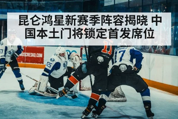 ice hockey defense