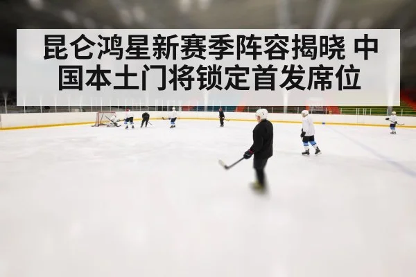 ice hockey offense