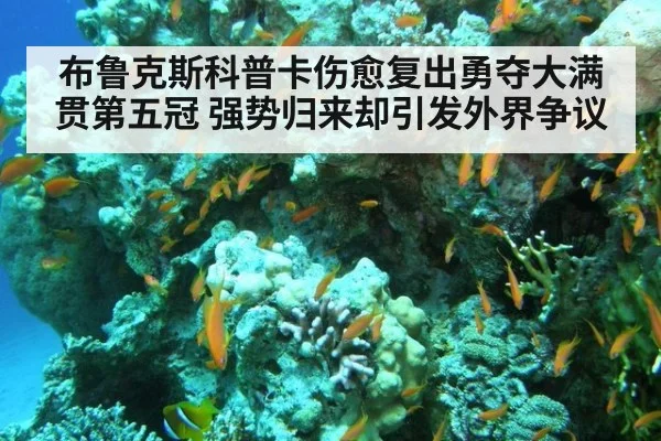 布鲁克斯科普卡伤愈复出勇夺大满贯第五冠 强势归来却引发外界争议